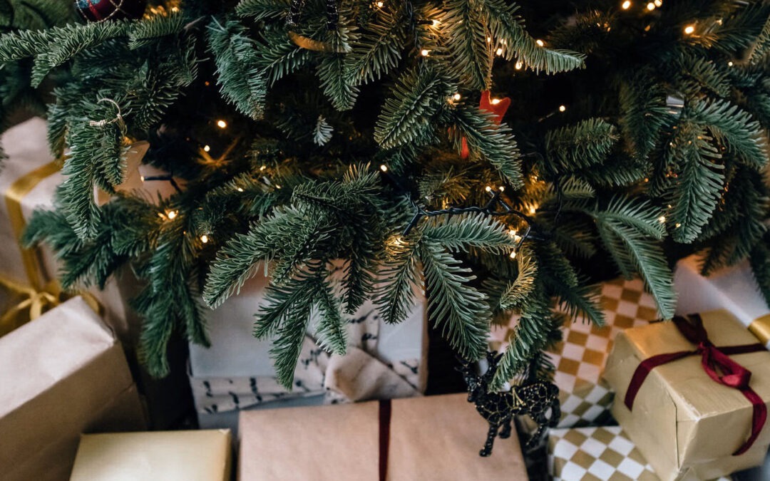 Best Christmas Window 2020