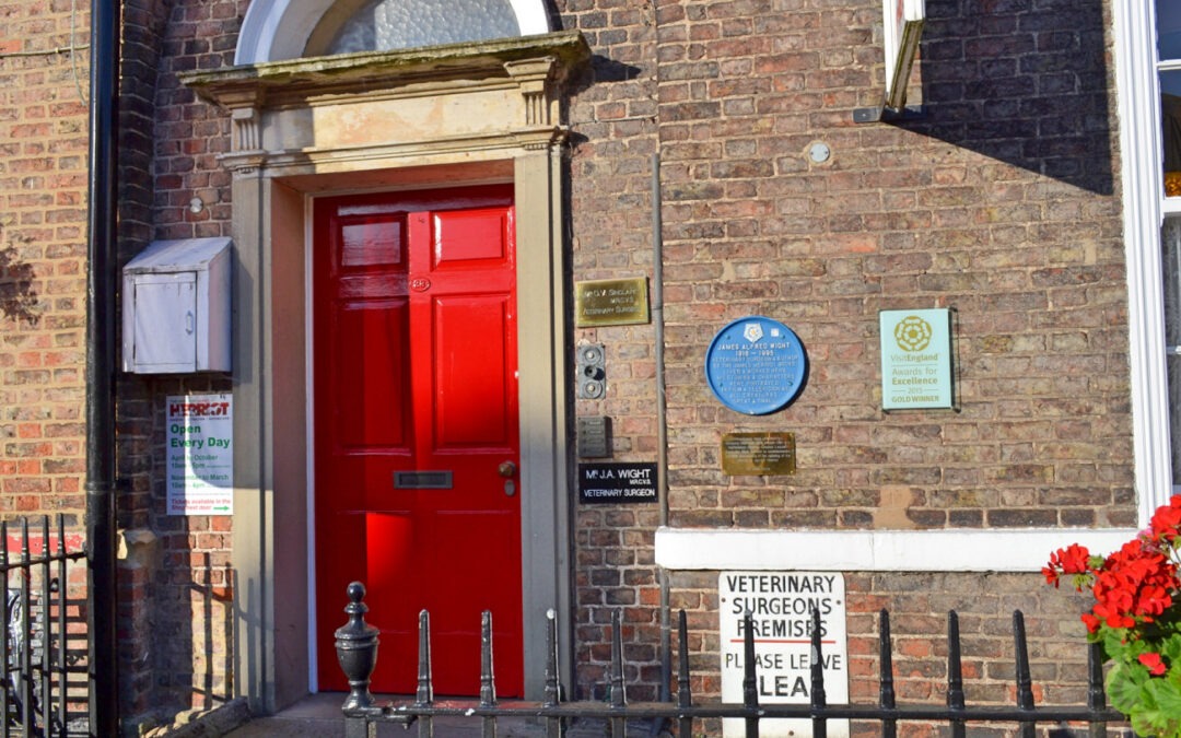 Celebrating10 years as a private sector tourism business