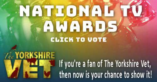 Vote for The Yorkshire Vet at the NTAs