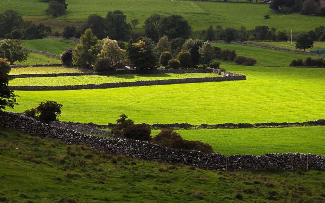 Walk in the Footsteps of “All Creatures Great and Small” at James Herriot’s Yorkshire Home