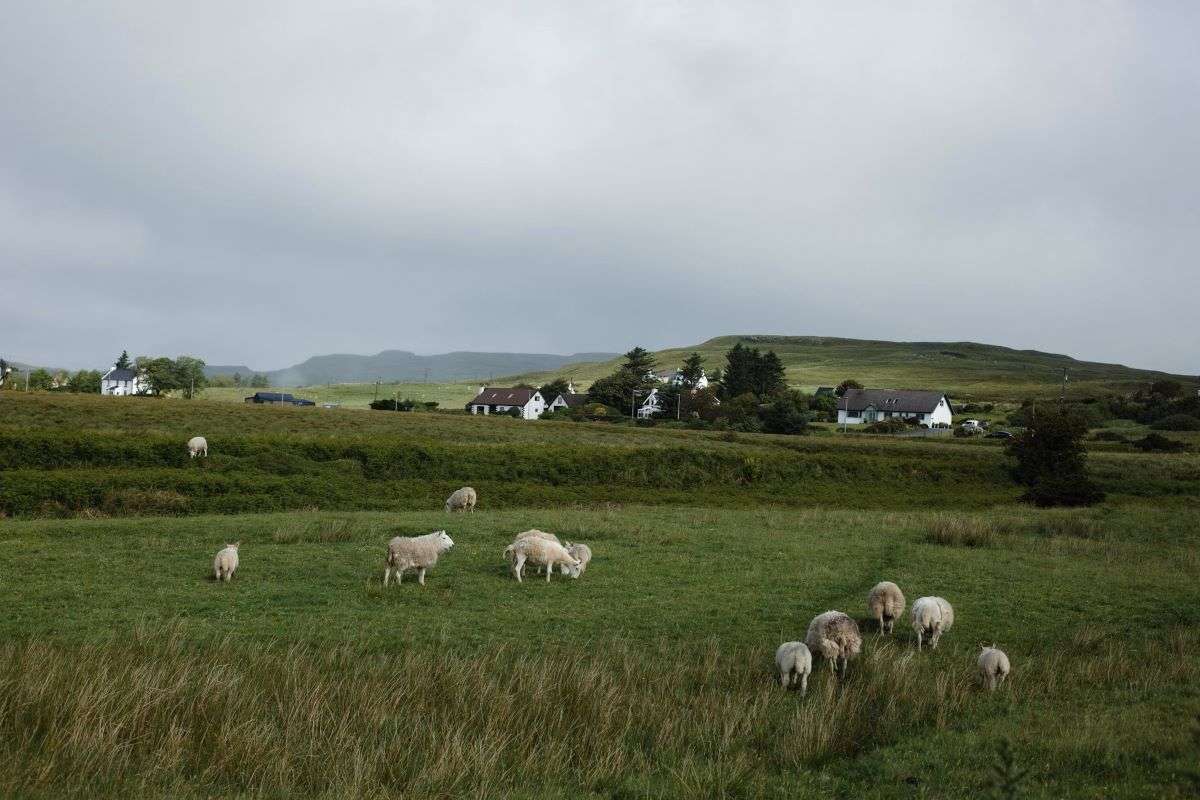 north-york-moors