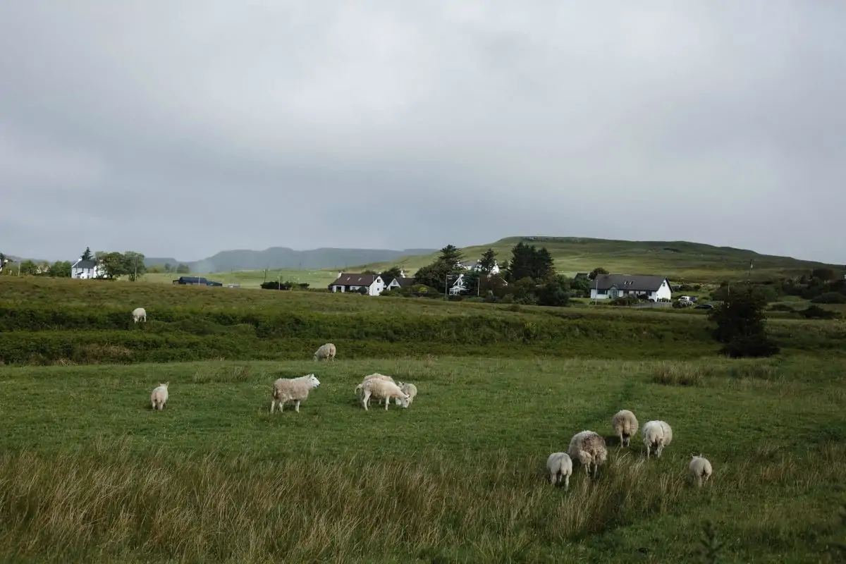 north-york-moors