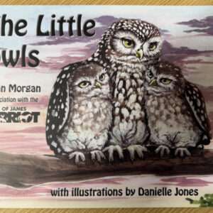 The Little Owls