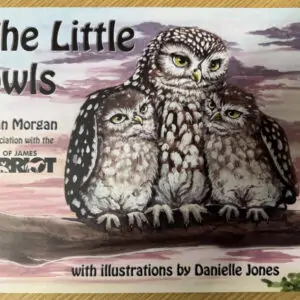 The Little Owls