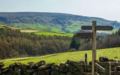 The Best Day Out in North Yorkshire