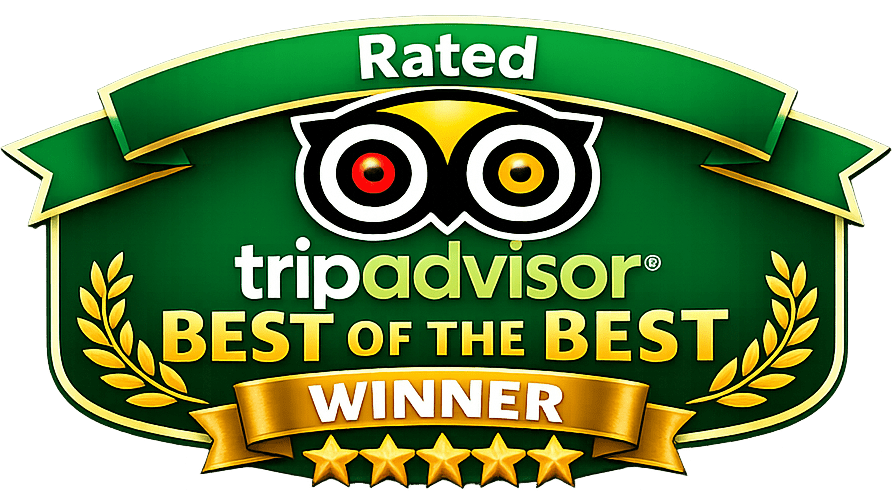 tripadvisor award