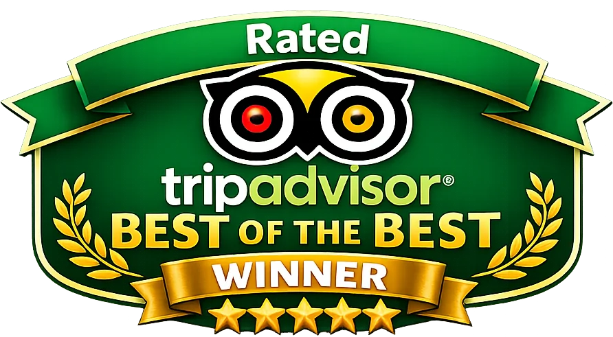 tripadvisor award